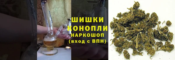 ГАЛЛЮЦИНОГЕННЫЕ ГРИБЫ Алексеевка