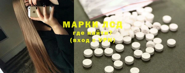 гашик Алексин