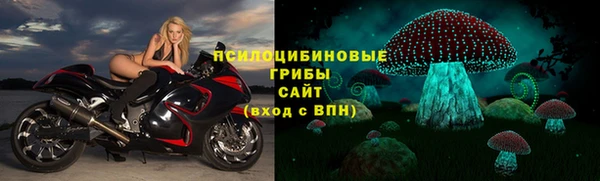 гашик Алексин