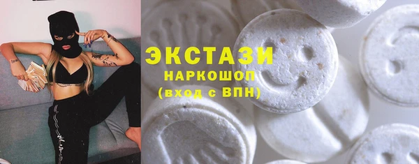 гашик Алексин