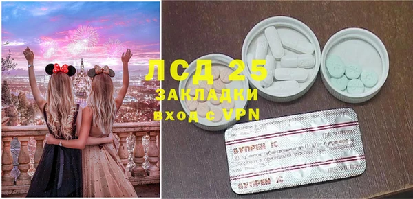 гашик Алексин