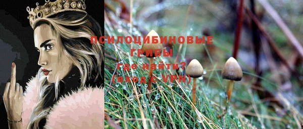 гашик Алексин