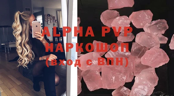 гашик Алексин