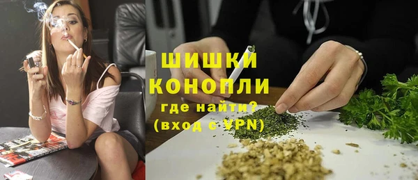 шишки Алзамай
